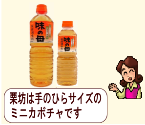 商品イメージ1